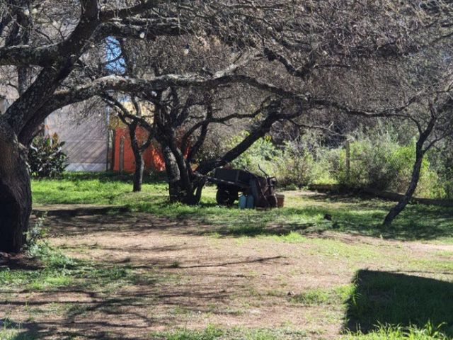 place photo 63