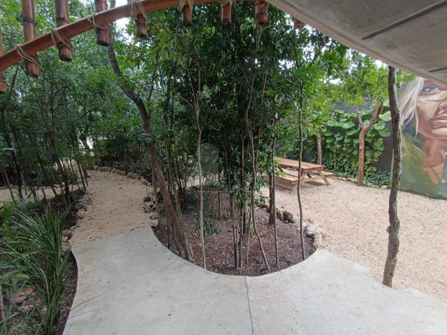 place photo 44