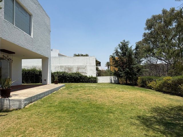 place photo 47