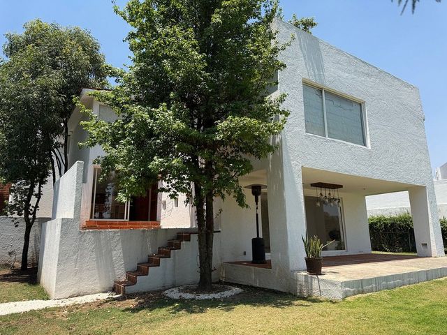 place photo 46