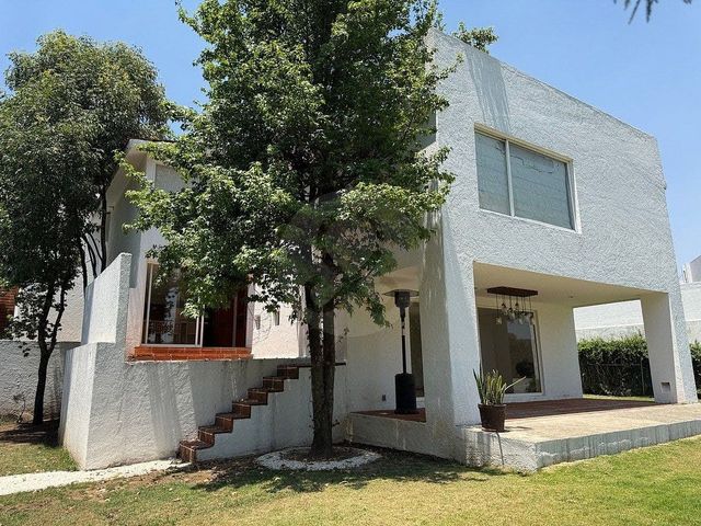 place photo 46