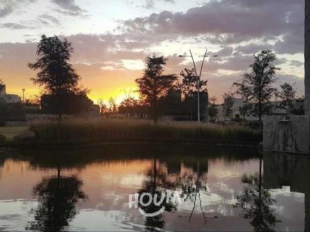 place photo 37