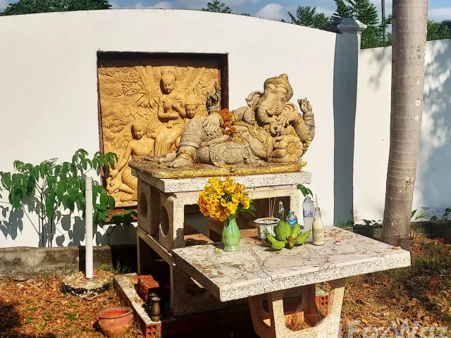 place photo 22