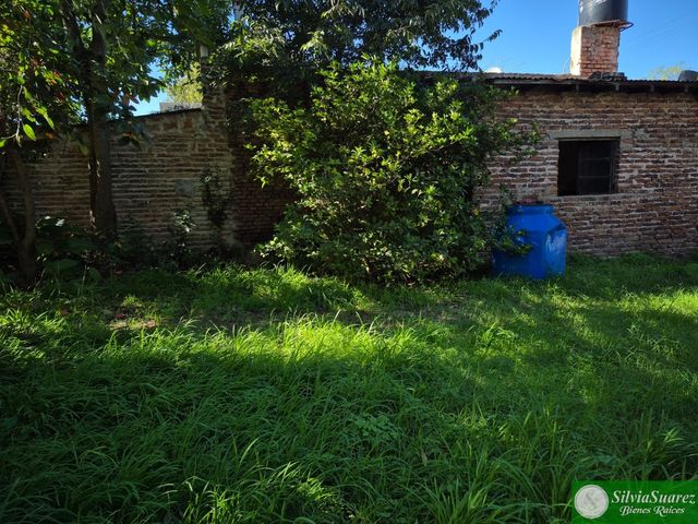 place photo 24