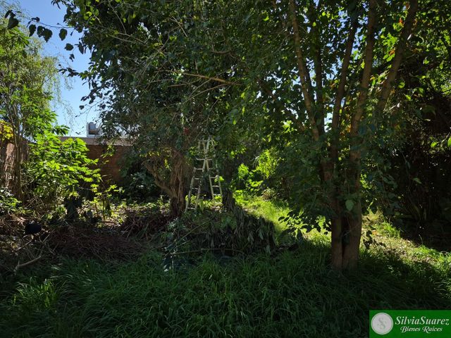place photo 21