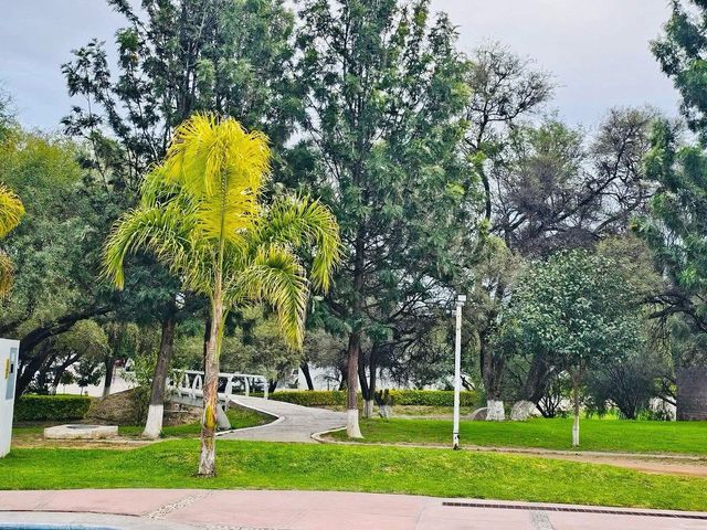 place photo 27