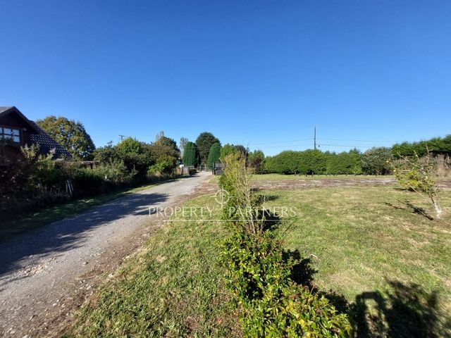 place photo 18