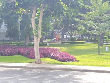 place photo 19