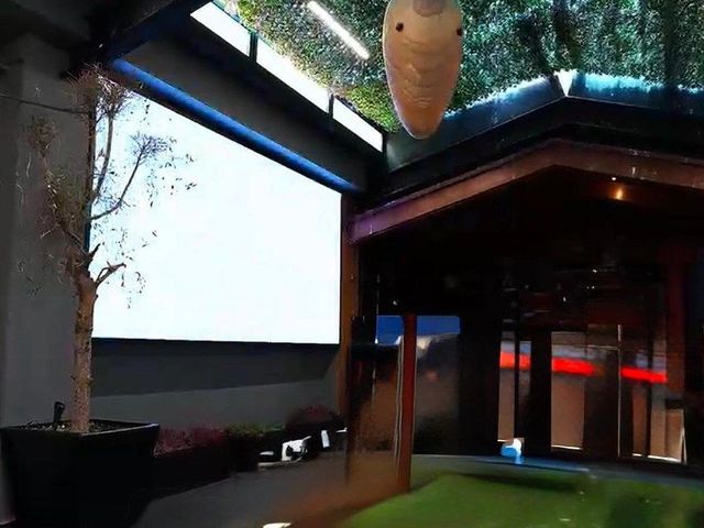 place photo 18