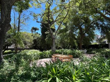 place photo 33