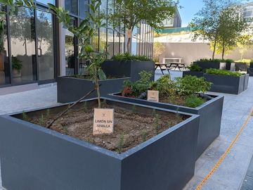 place photo 42