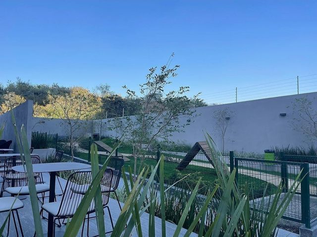 place photo 41