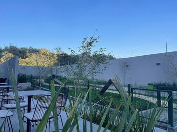 place photo 41