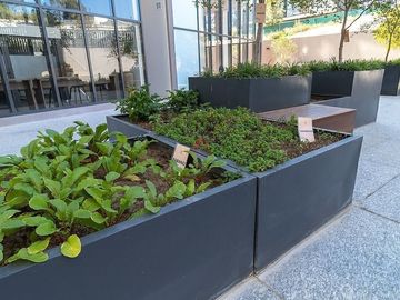 place photo 44
