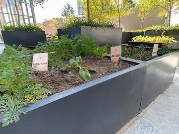 place photo 43