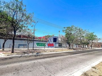 place photo 34