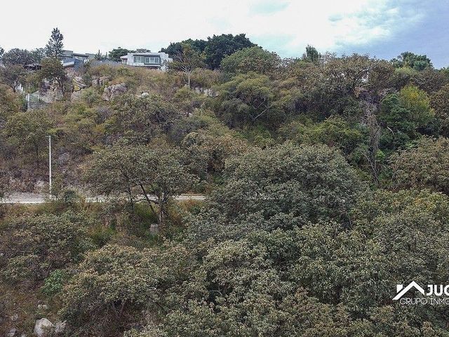 place photo 38