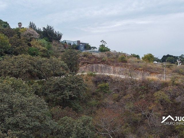 place photo 39