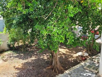 place photo 13