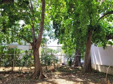 place photo 25