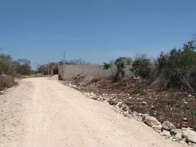 place photo 4