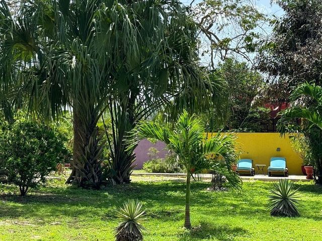 place photo 13