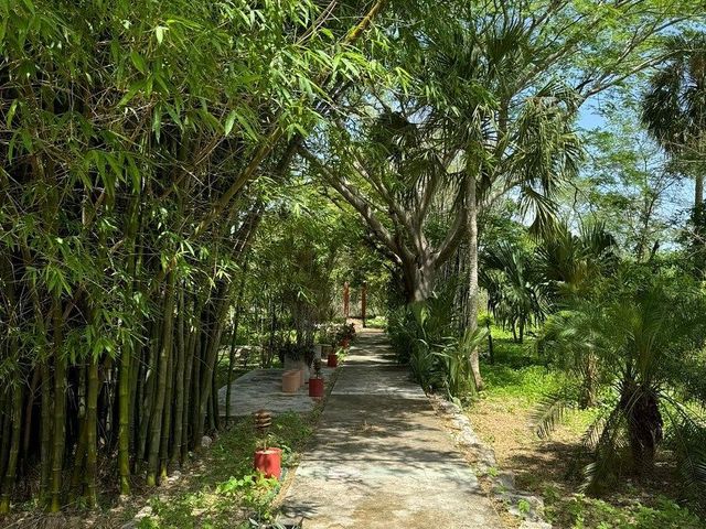 place photo 46
