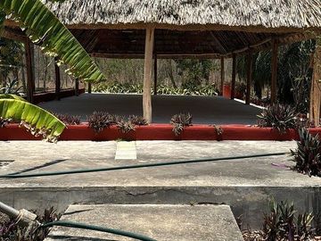 place photo 37