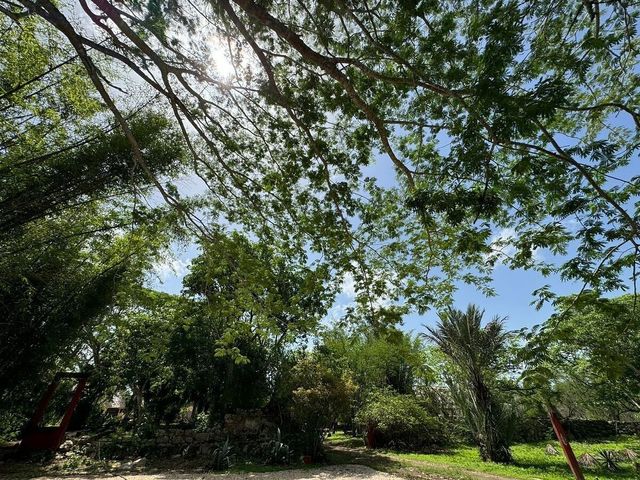 place photo 47