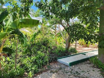 place photo 23