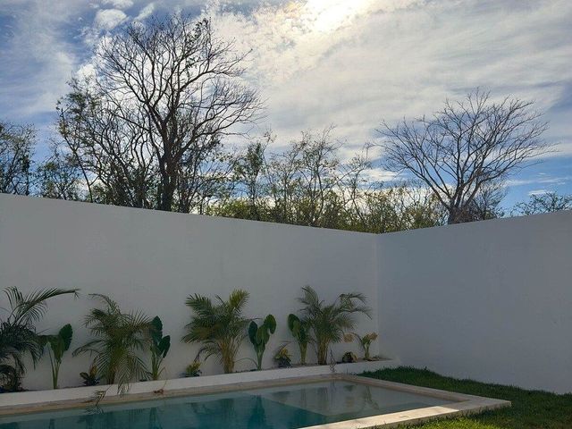 place photo 39
