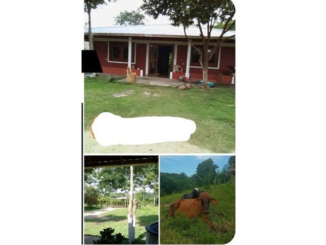 VENDO FINCA EN SAN CARLOS CORDOBA