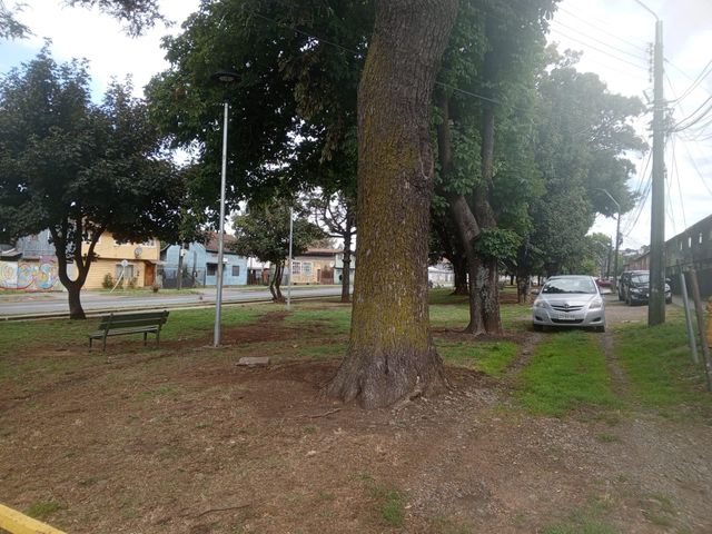 place photo 8