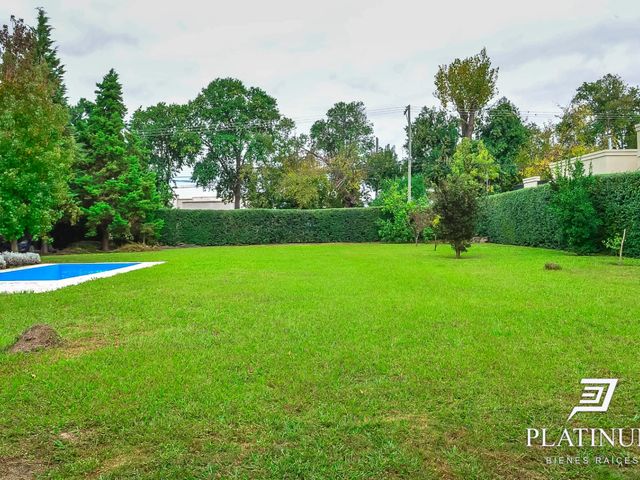 place photo 44