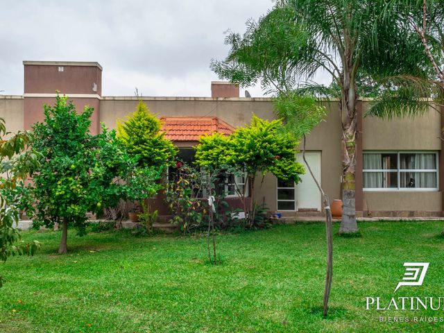 place photo 44