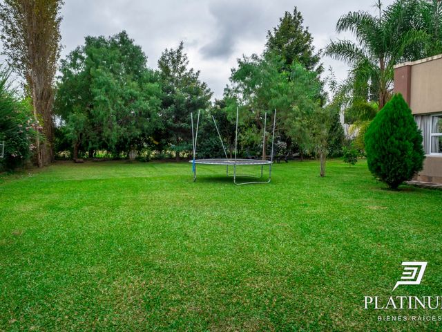 place photo 46