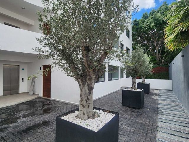 place photo 22