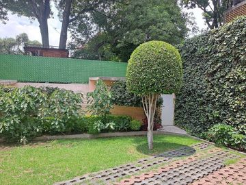 place photo 36