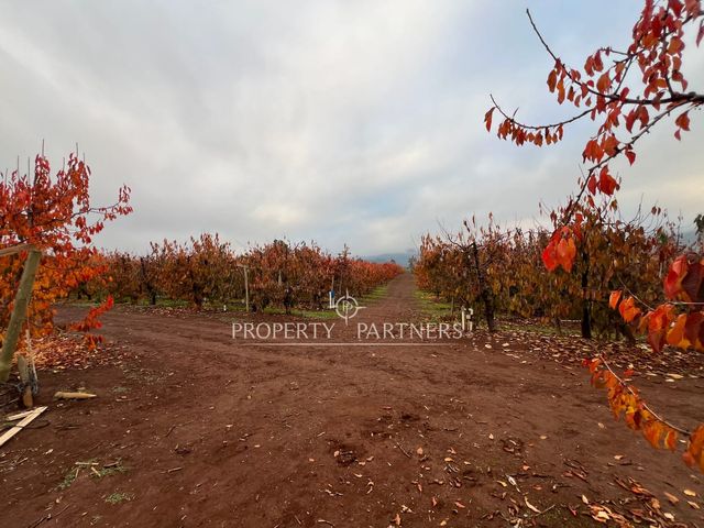 place photo 37
