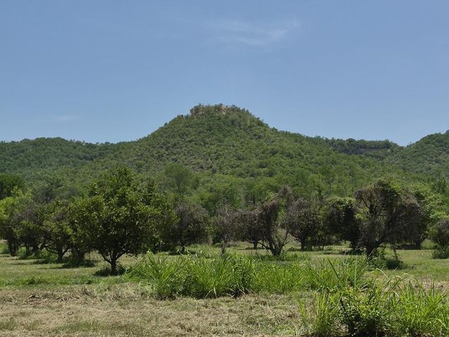 place photo 13