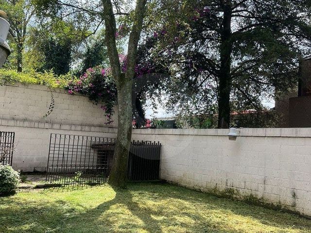 place photo 42