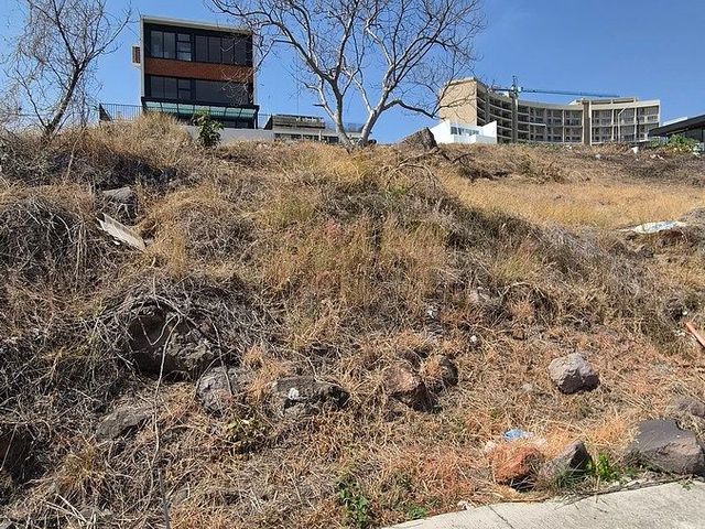 place photo 17