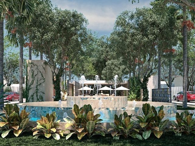 place photo 15