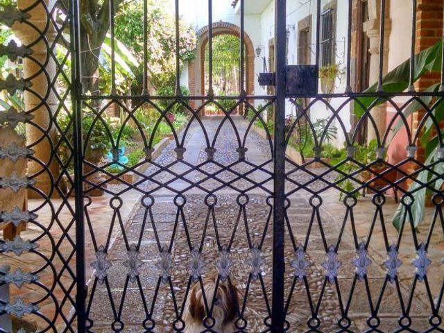 place photo 8
