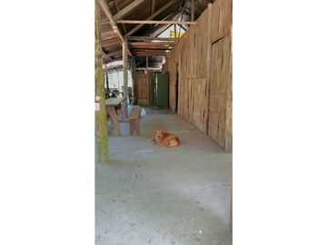 place photo 45