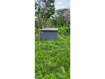 place photo 52