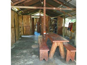 place photo 43