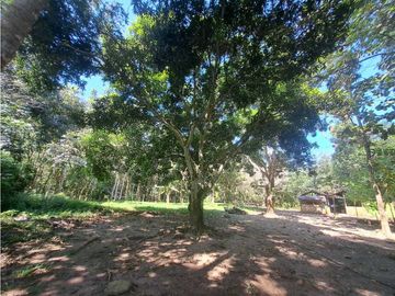 place photo 40