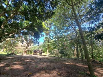 place photo 37