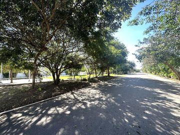 place photo 28